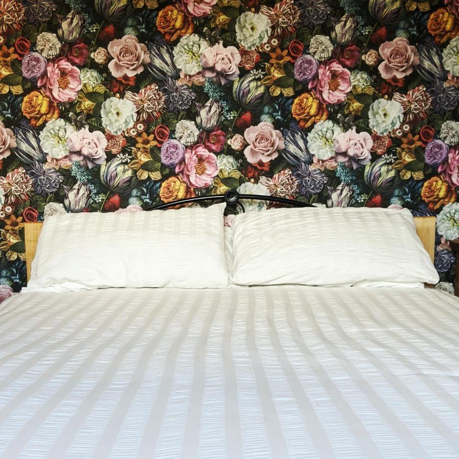 Bed and Breakfast The Blue Mantle Wellington  Exteriér fotografie